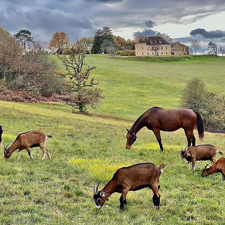 Domaine De Cazal - Chambres D'Hotes Avec Piscine Au Coeur De 26 Hectares De Nature Preservee 圣西普里安 外观 照片