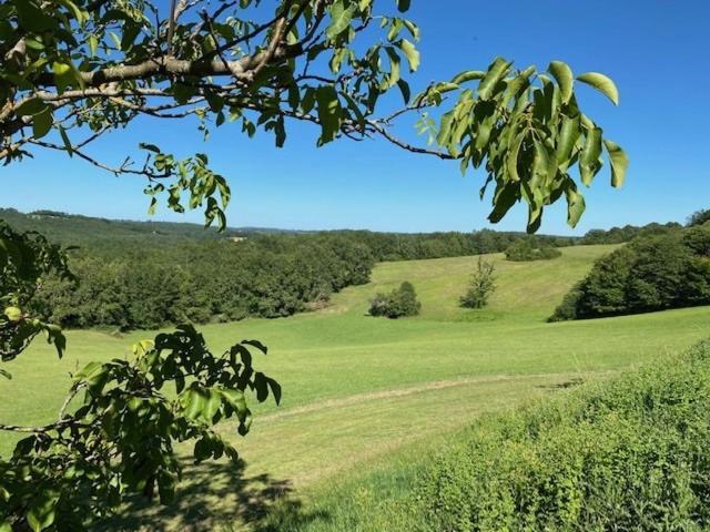 Domaine De Cazal - Chambres D'Hotes Avec Piscine Au Coeur De 26 Hectares De Nature Preservee 圣西普里安 外观 照片